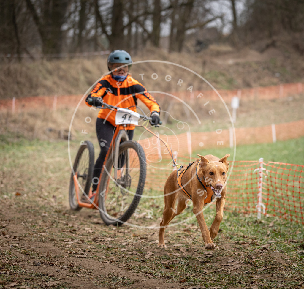 Pfotenfotografie_DV3A6565 | Hundefotografie, Tierfotograf, Pfotenfotografie, Fotoshooting Hund, Hunde Portrait, Hundesport, Hundeportraits, Heideshooting, Hunde, Sportfotograf, Hundefotograf, Turnierhundsport, THS,  - Realisiert mit Pictrs.com