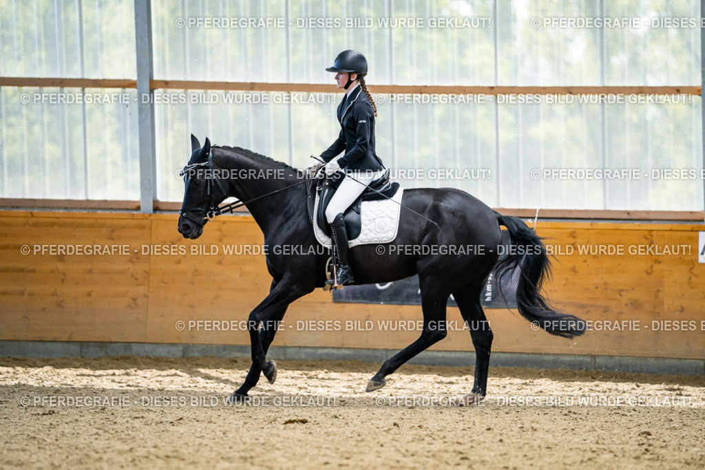 DSC05902 | Pferdegrafie