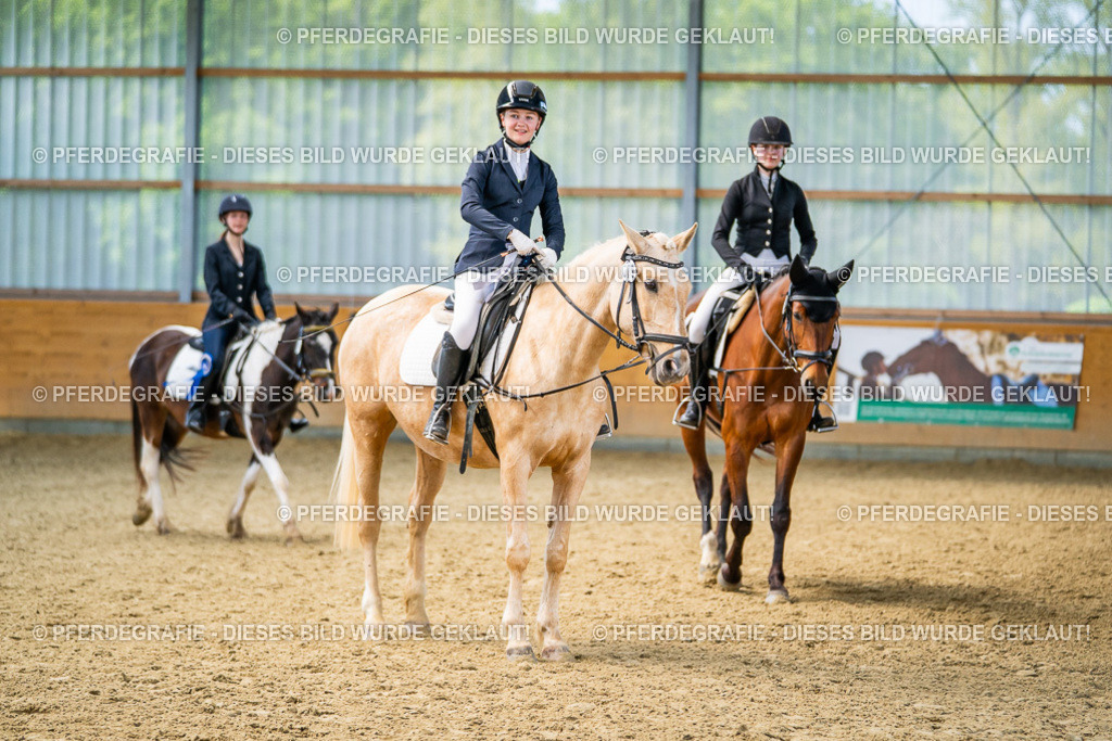 DSC03892 | Pferdegrafie