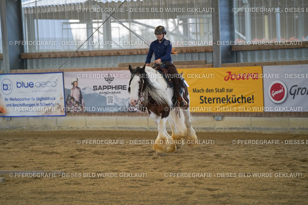 DSC09113 | Pferdegrafie