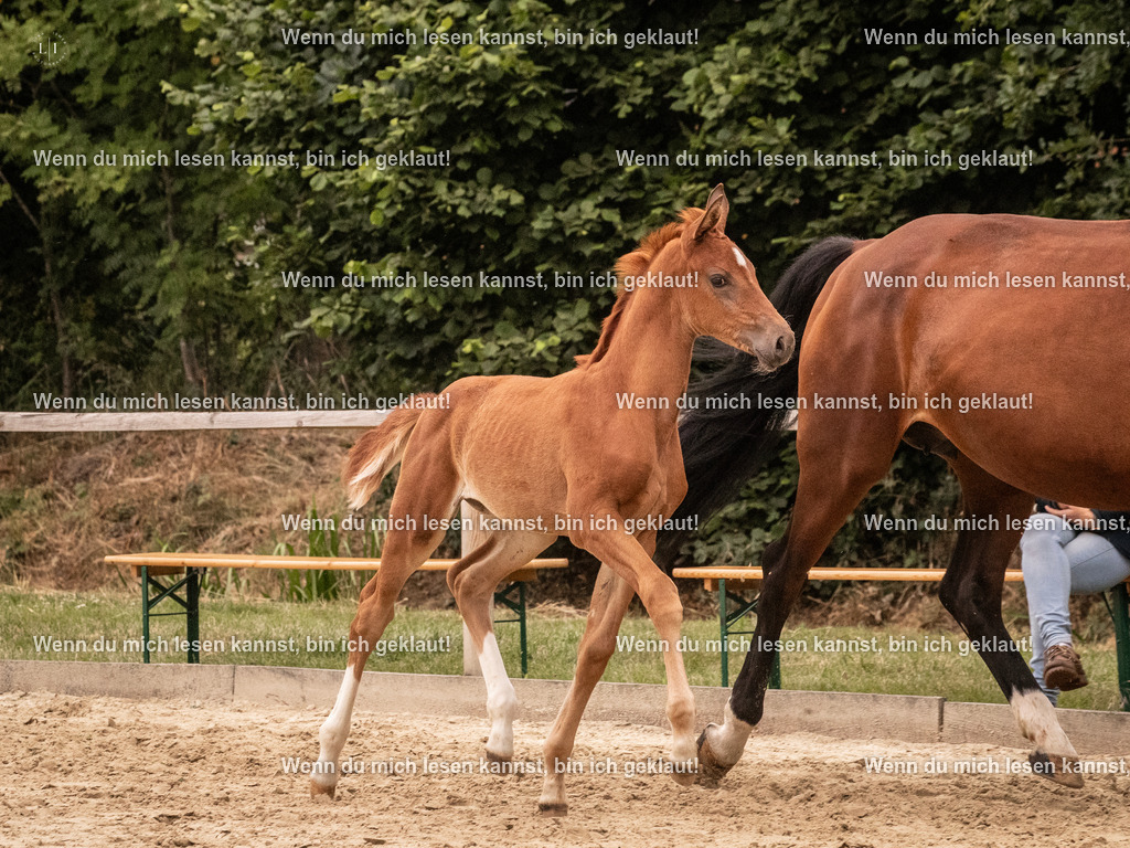 A10I5796 | photographylinaismer - Realisiert mit Pictrs.com