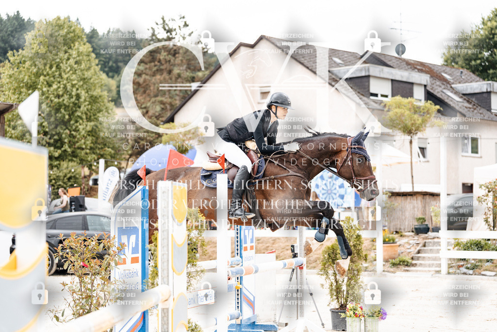 CK906218 | Turnierfotografie Pferdefotografie Trier Rheinland-Pfalz Pferdesport Reitsport Tierfotografie Sportfotografie Pferdevideo Pferdevideografie Equestrianvideography equestrianphotography  - Realisiert mit Pictrs.com