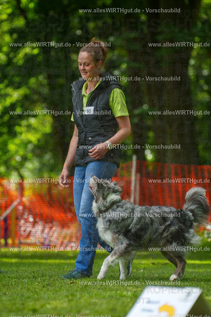 @allesWIRTHgut_Tierfotografie - www.allesWIRTHgut.de - 7R505846 | Professionelle Tierfotografie in Mönchengladbach von Daniel Wirth (allesWIRTHgut). Liebevolle & natürliche Bilder von Hunden & Katzen für unvergessliche Erinnerungen.