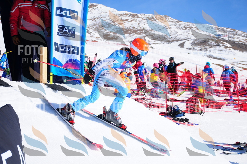 DSC_3657 | holidayphoto