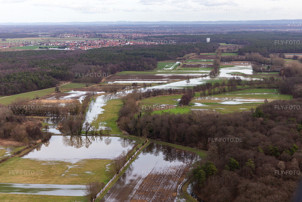 Luftbild: Überflutete Flutungswiesen des Polder Neupotz am Hochwasser- Pegel führenden Flußbett des Rhein in Neupotz in Erlenbach bei Kandel im Bundesland Rheinland-Pfalz in Deutschland. Foto: IMG_124197.jpg vom 04.02.2021 durch Werner Riehm/FLY-FOTO.de