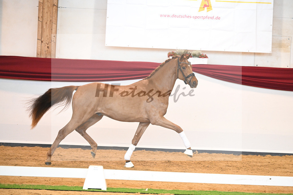 Kat-Nr. 52 v. Vaderland_Galneder_66220749 | hf-fotografie - Realisiert mit Pictrs.com