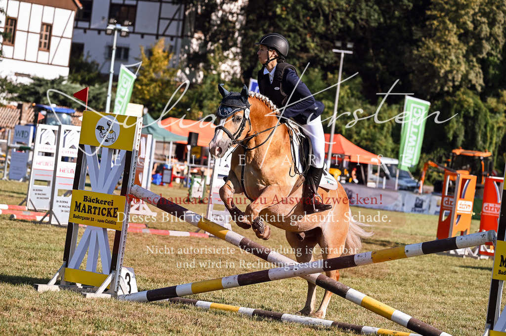 DSC_4838 | Pferde- und Turnierfotografie in Westsachsen. Pferdeportraits, Auftragszeichnungen und intuitive Kunst.