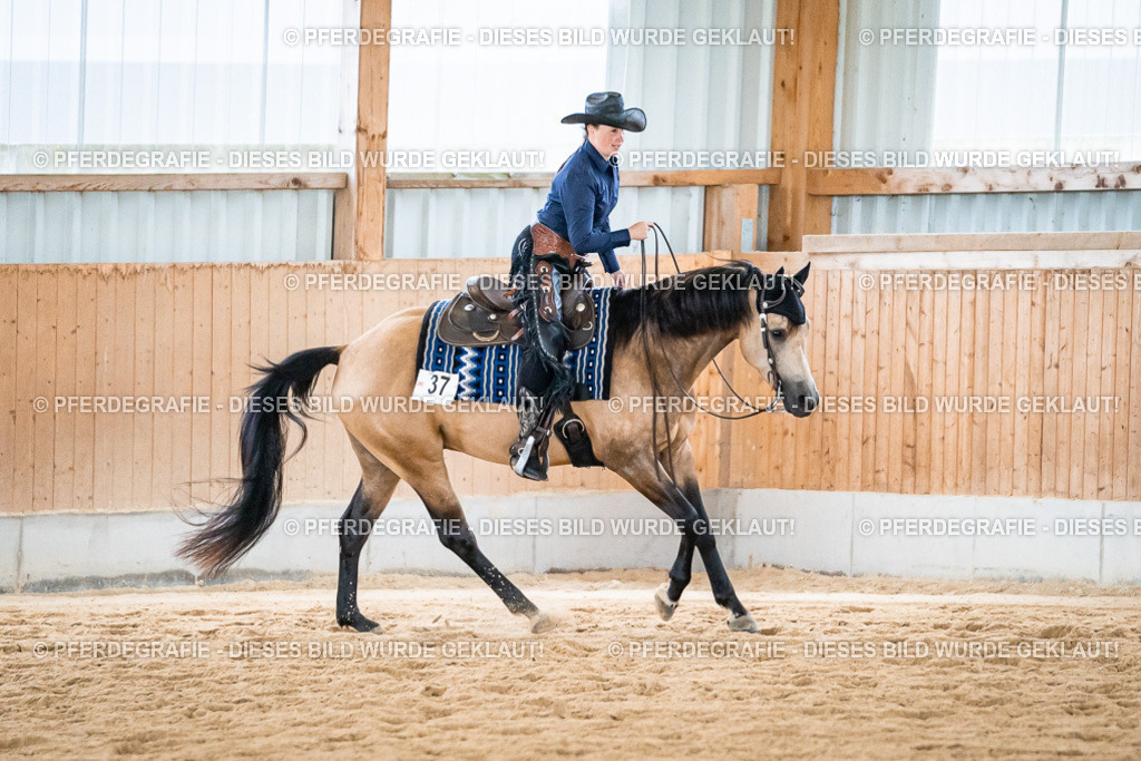 DSC03423 | Pferdegrafie