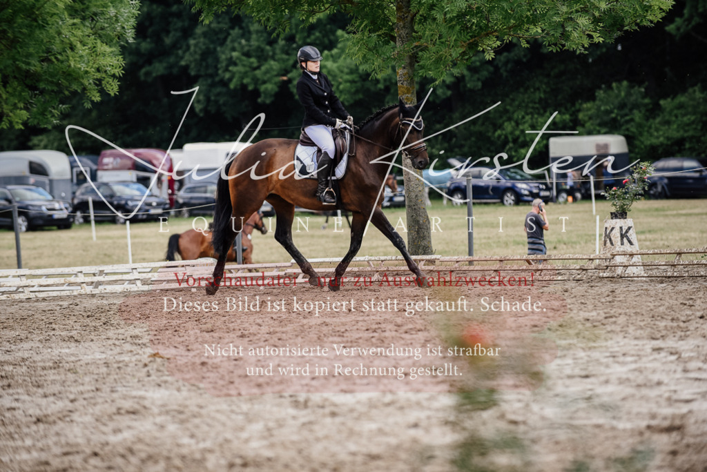 DSC_0756 | Pferde- und Turnierfotografie in Westsachsen. Pferdeportraits, Auftragszeichnungen und intuitive Kunst.
