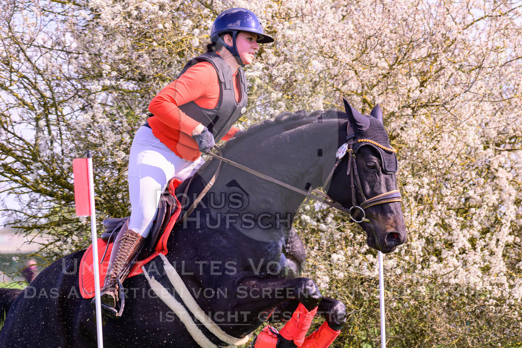 18042026-Gernlinden-04-1-0684 | Fokus Hufschlag Fotografie - Realisiert mit Pictrs.com