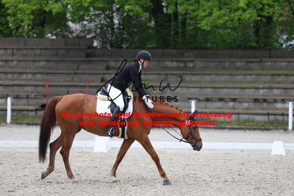 A40A8444 | lmwpictures - Realisiert mit Pictrs.com