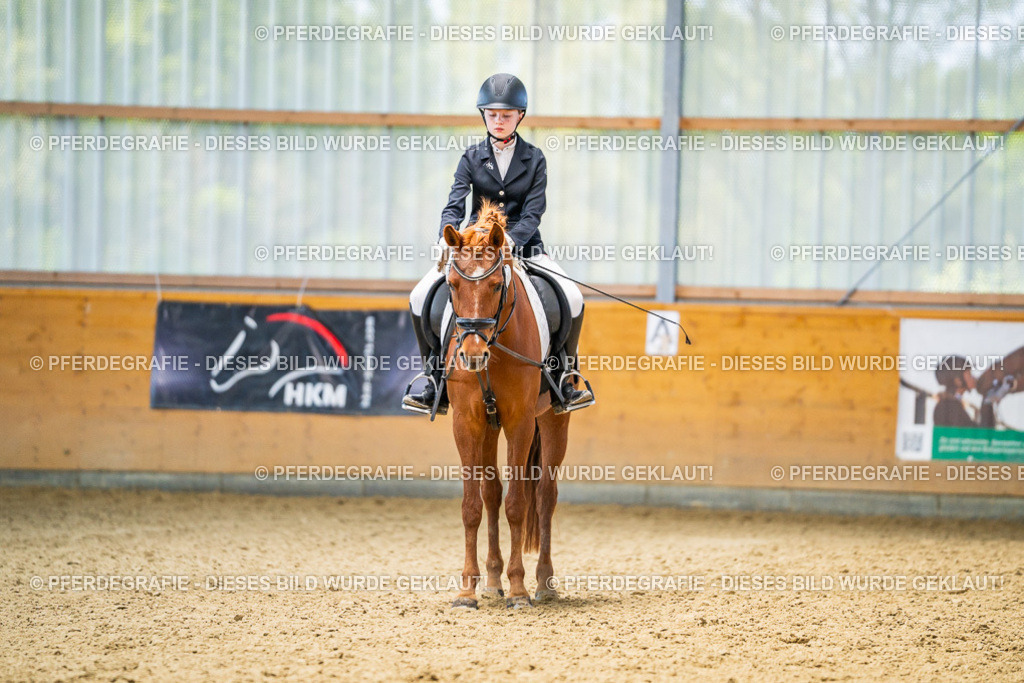 DSC03444 | Pferdegrafie