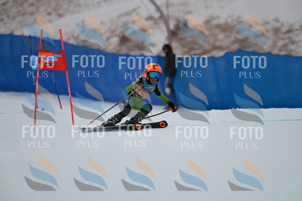 BGV_9394 | holidayphoto