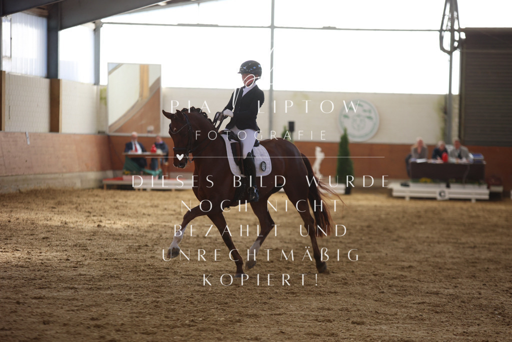 IMGT9933 | pl-fotografie