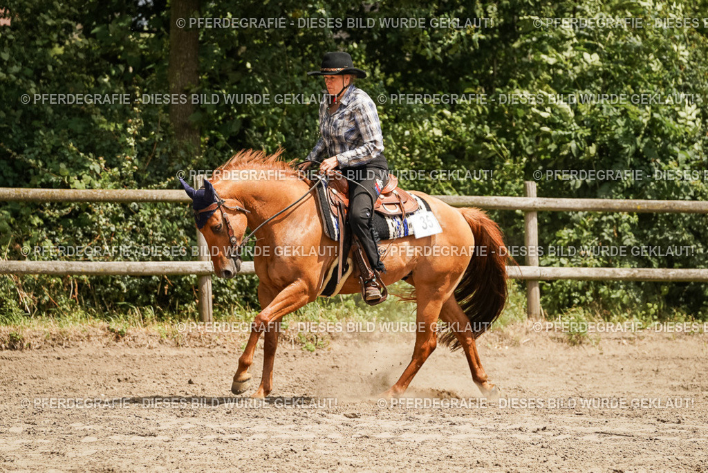 DSC00005 | Pferdegrafie