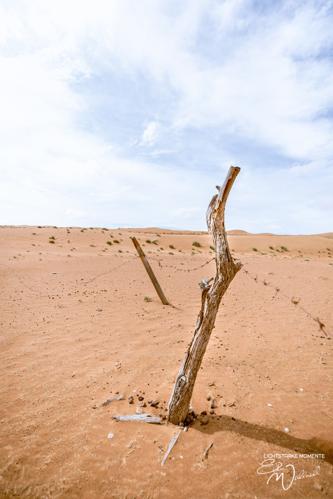Beduinencamp bei Al Salam Desert Camp, Al Qabil, Bidiyya, Oman | Herzlich willkommen auf meiner Seite! Ich bin Elke Wallnisch, Deine Fotografin für lichtstarke Momente. Der Name steht für alles, was mich mit der Fotografie verbindet: Das Licht und seine machtvolle Wirkung auf eine Situation oder unsere Stimmung - Realisiert mit Pictrs.com