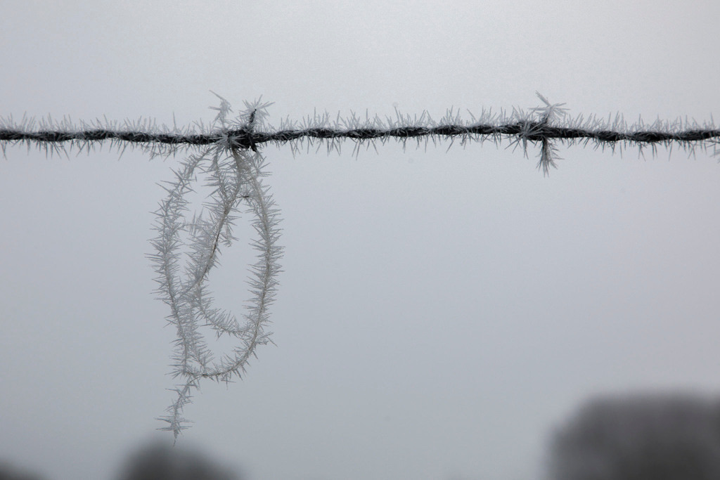 Raureif_Weisten_101222_36 | Bildergalerie von Sport-Ereignissen aber auch von weiteren spannenden Dingen - nicht nur vom Niederrhein. In Anlehnung an den bekannten Spruch von Hanns Dieter Hüsch heißt das Motto: "Niederrhein ist überall".  - Realisiert mit Pictrs.com