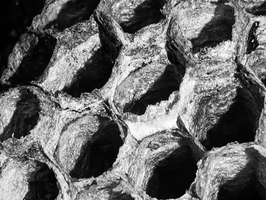 PSX_20230221_225123 | mtkfoto_ - Realisiert mit Pictrs.com