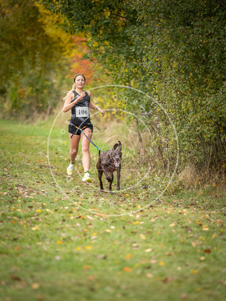 Pfotenfotografie_DV3A2375 | Hundefotografie, Tierfotograf, Pfotenfotografie, Fotoshooting Hund, Hunde Portrait, Hundesport, Hundeportraits, Heideshooting, Hunde, Sportfotograf, Hundefotograf, Turnierhundsport, THS,  - Realisiert mit Pictrs.com