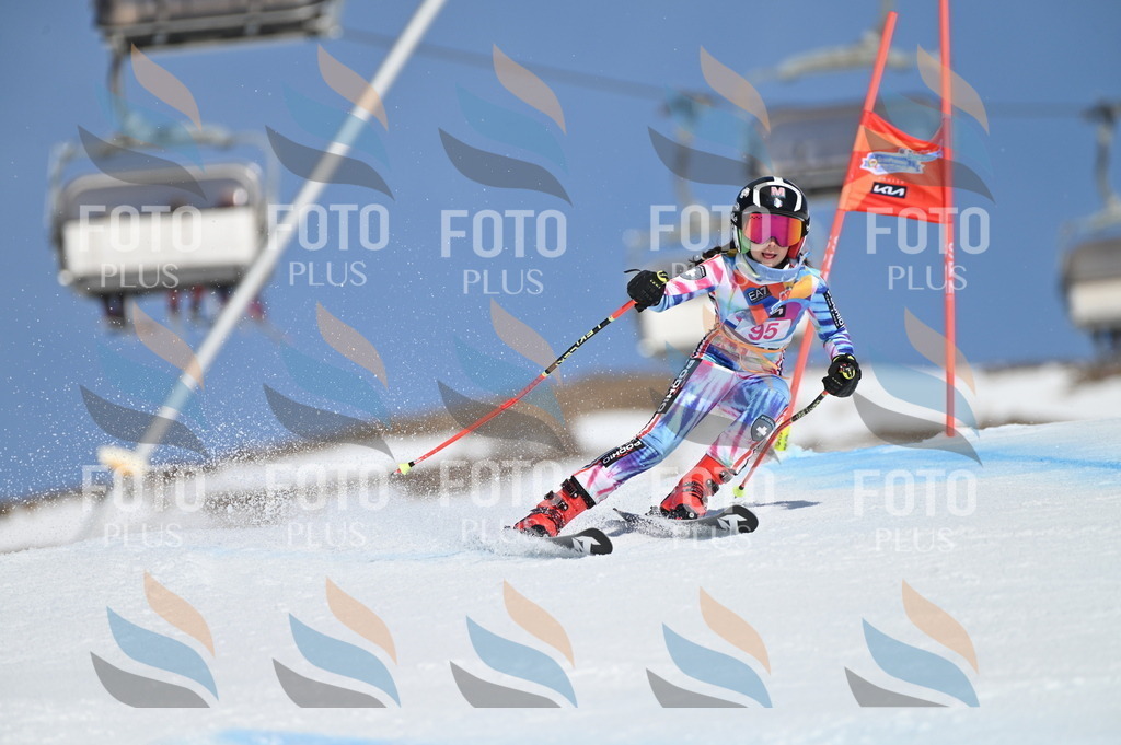 BGV_9348 | holidayphoto