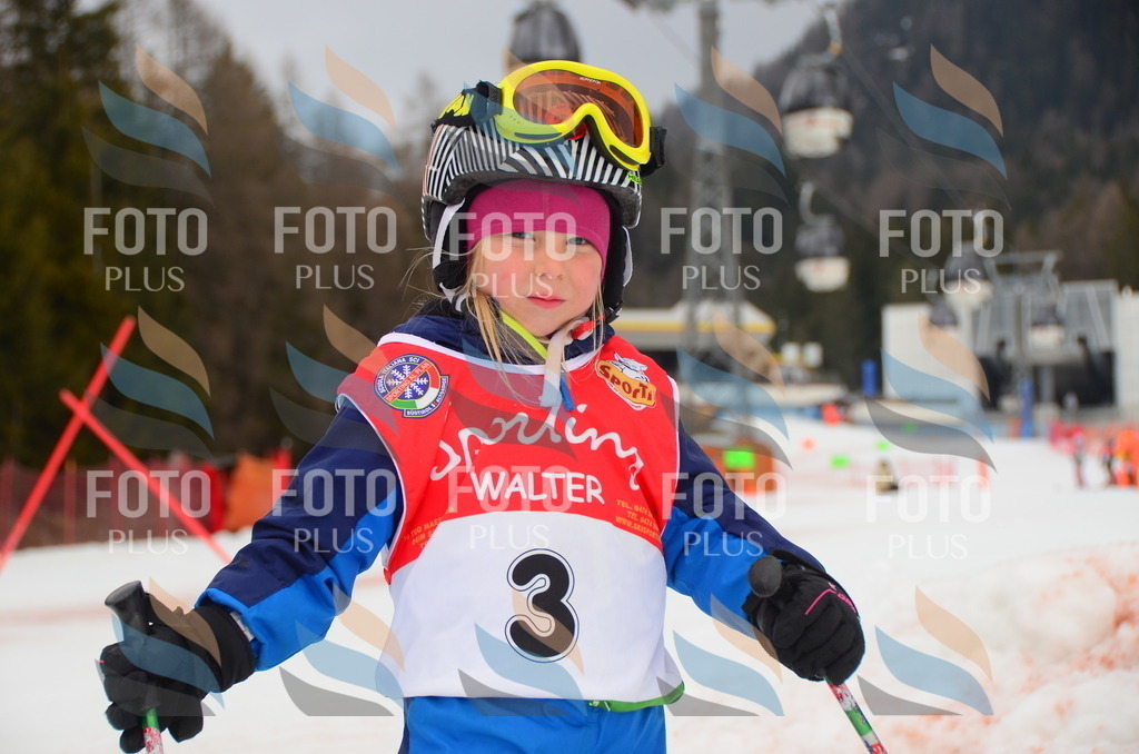 C1391 | holidayphoto