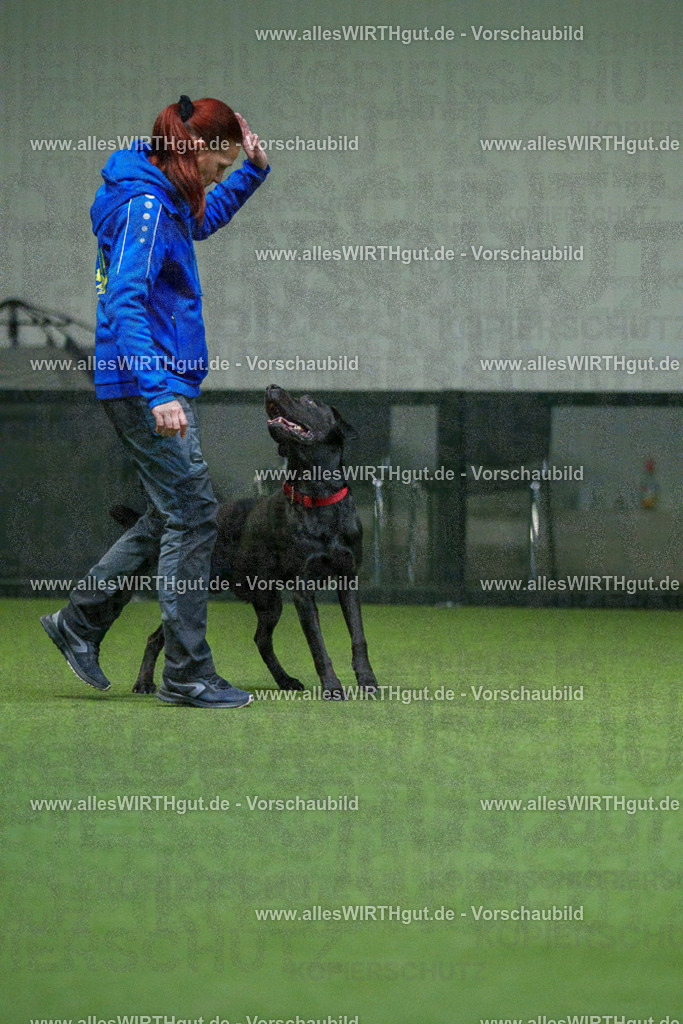 7R504188 | Professionelle Tierfotografie in Mönchengladbach von Daniel Wirth (allesWIRTHgut). Liebevolle & natürliche Bilder von Hunden & Katzen für unvergessliche Erinnerungen.