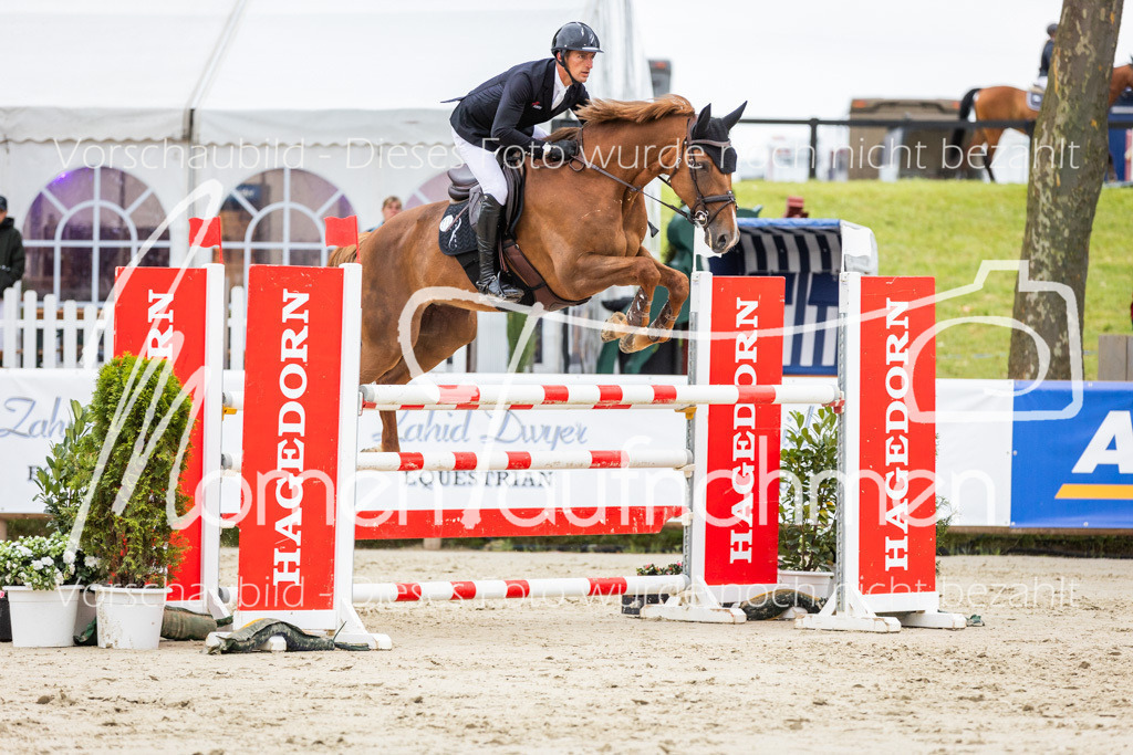 BHO-2PhSpr-M-254 | MomenTaufnahmen Pferdesportfotos