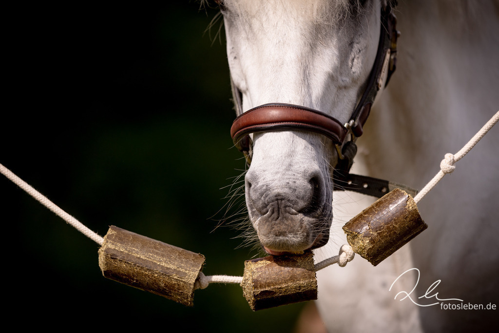 846A2787 | fotosleben - Realisiert mit Pictrs.com
