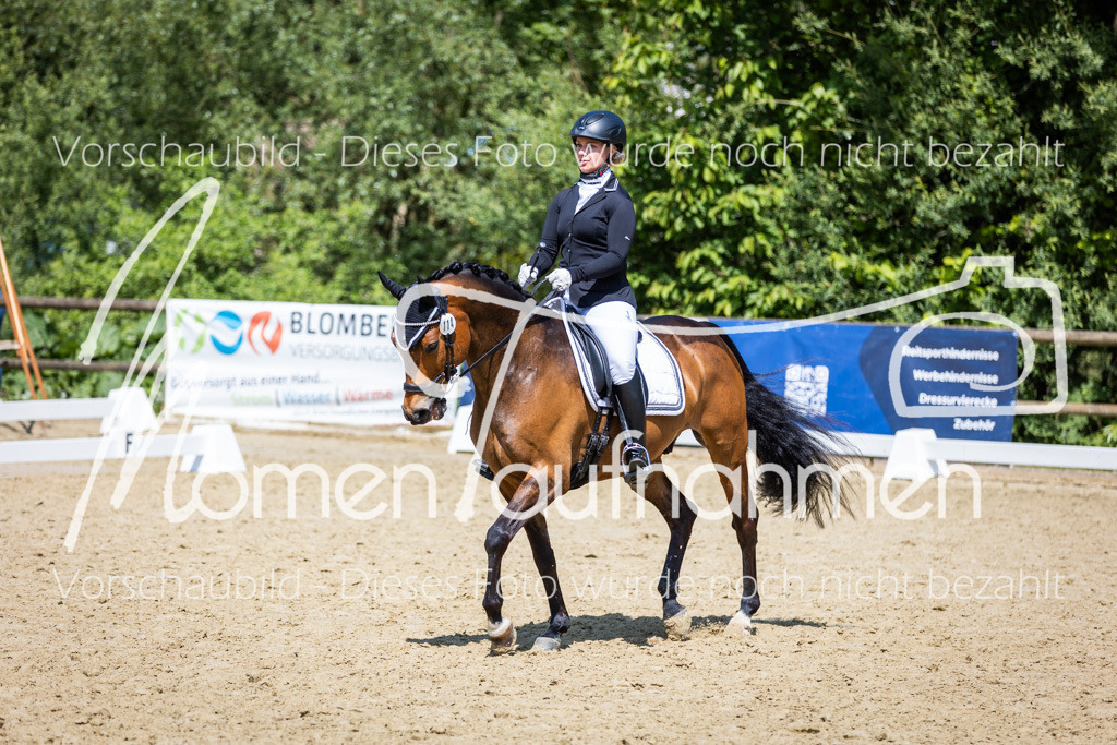 Donop24-L-Dre-099 | MomenTaufnahmen Pferdesportfotos