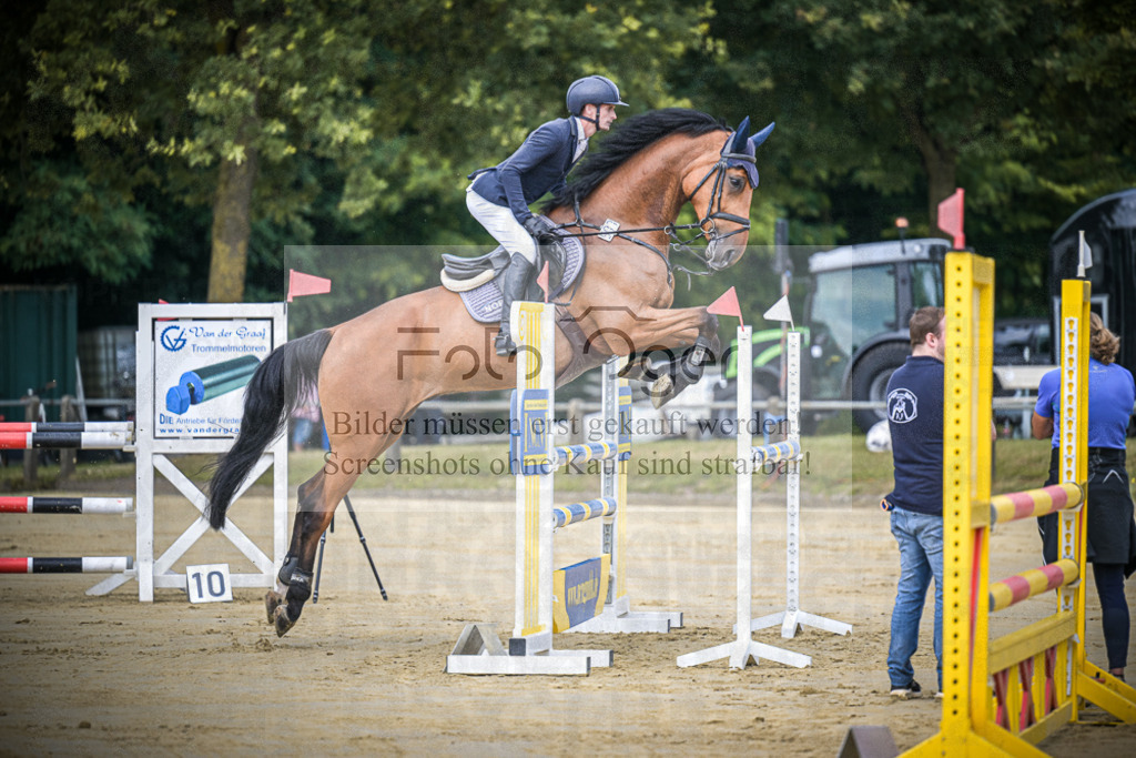 DOS_6797 | Entdecke hochwertige Reitturnierfotos von Foto Oger. Professionell, emotional und authentisch – jetzt Lieblingsmomente im Shop bestellen.Deutschlandweite Turnierfotografie. - Realisiert mit Pictrs.com