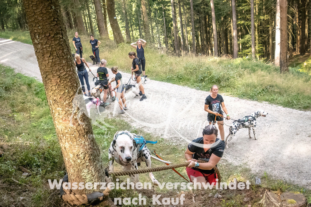 1046_ZZ92200 | kk-dogfotos