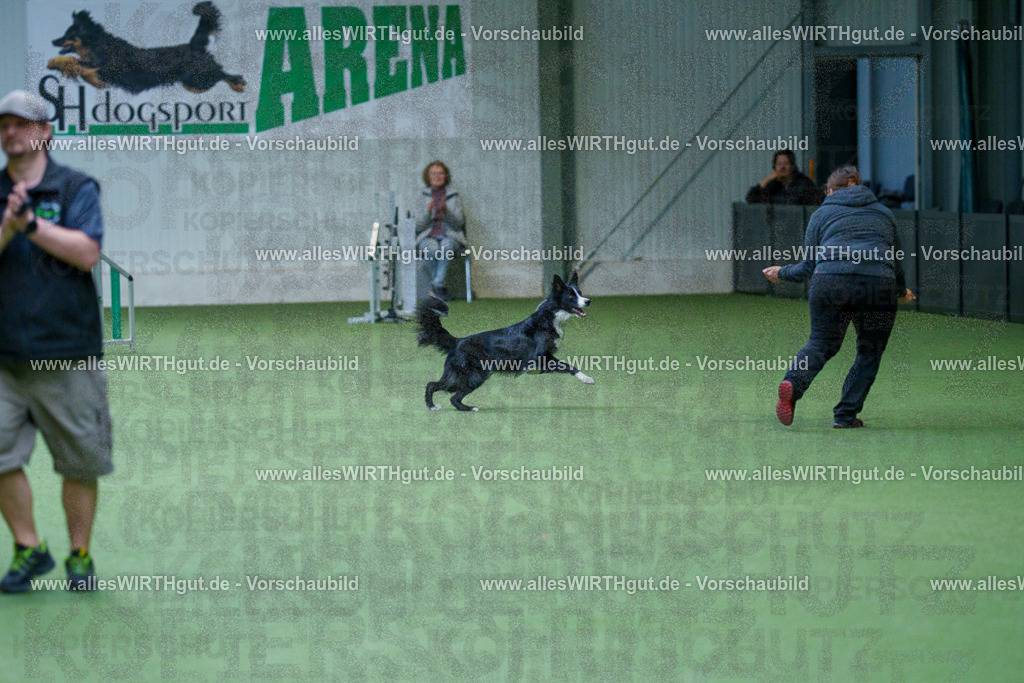 @allesWIRTHgut_Tierfotografie - www.allesWIRTHgut.de - 2604260831-7R507085 | Professionelle Tierfotografie in Mönchengladbach von Daniel Wirth (allesWIRTHgut). Liebevolle & natürliche Bilder von Hunden & Katzen für unvergessliche Erinnerungen.
