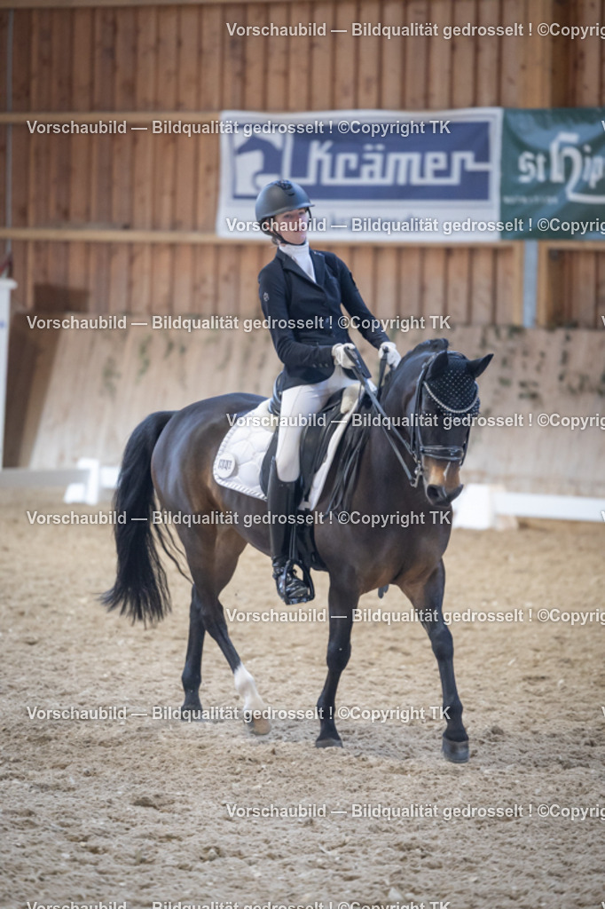 _D5A5157 | Emotionale Pferde- & People-Fotografie rund um Heidelberg, Leimen & Umgebung. Natürliche Fotos von Pferd, Mensch & Familie. Jetzt Termin sichern!