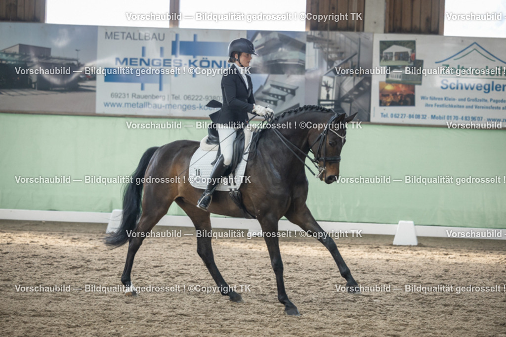 _D5A4721 | Emotionale Pferde- & People-Fotografie rund um Heidelberg, Leimen & Umgebung. Natürliche Fotos von Pferd, Mensch & Familie. Jetzt Termin sichern!