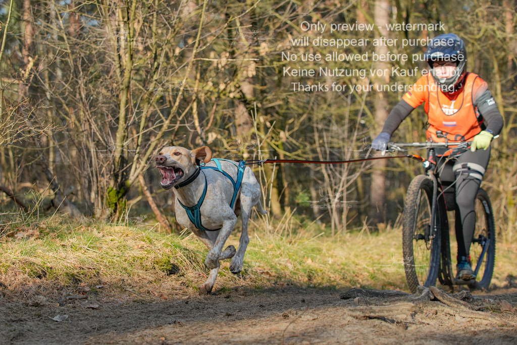 Sa_Scooter-178 | stephaniefillaphotographie - Realisiert mit Pictrs.com