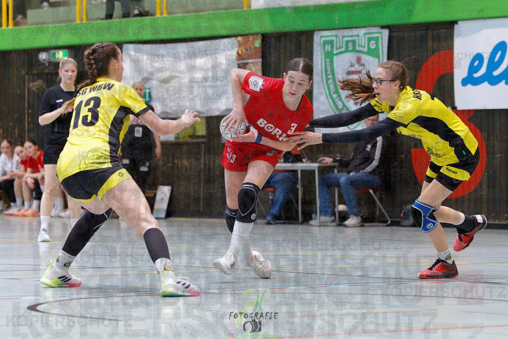 Hessenmeisterschaft wJC - Finale; HSG Kleenheim - HSG Weiterstadt/ Braunsh.Worf. | Hessenmeisterschaft wJC - Finale; HSG Kleenheim - HSG Weiterstadt/ Braunsh.Worf. am 22.03.2025 in Biedenkopf (Sporthalle Lahntalschule)Photo © 2025 - Jörg Heinrich - Realisiert mit Pictrs.com