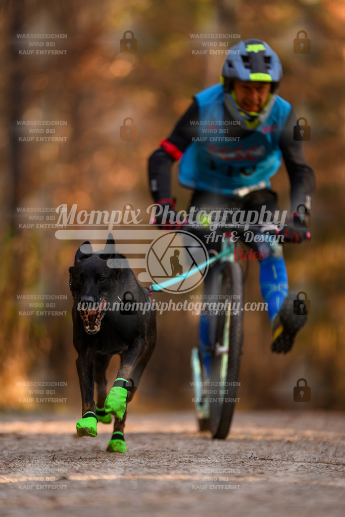 MompixPhotography_DM_AKDM_SO_2025_Scooter-221 | PayLife