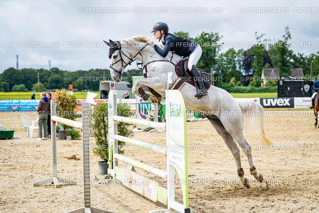 DSC04109 | Pferdegrafie