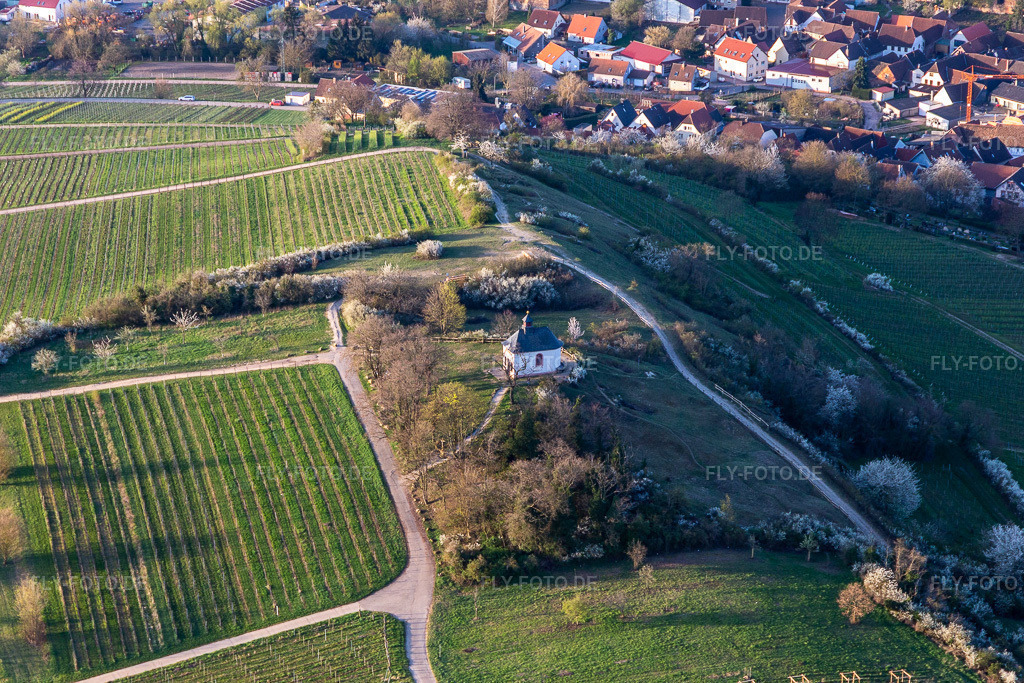 Luftbild: Kirchengebäude der Kapelle im Naturschutzgebiet Kleine Kalmit bei Landau in der Pfalz in Ilbesheim im Bundesland Rheinland-Pfalz in Deutschland. Foto: IMG_126246.jpg vom 04.04.2021 durch ©2025 Werner Riehm fly-foto.de/copyright
