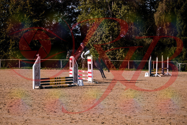 2026_10_03_Siefer-Hof_154950_Z81_68720938 | Professionelle Reitsport-, Turnier- und Eventfotografie von Robert Broda. Galerien mit ausgewählten und bearbeiteten Bildern direkt online ansehen und bestellen.