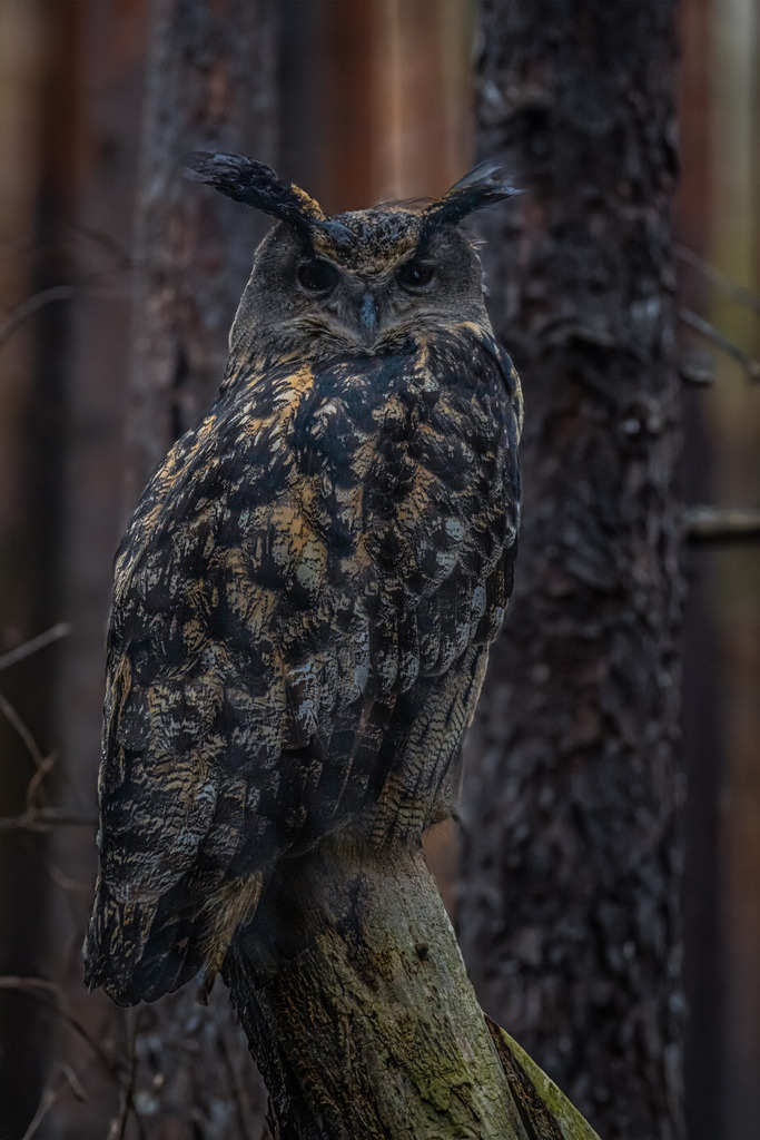 DSC03913-Edit | <meta name="keywords" content="Bergbilder, Hochzeitsfotografie, Actionshootings, Fotografiearbeiten, Berglandschaften, Naturfotografie">

 - Realisiert mit Pictrs.com