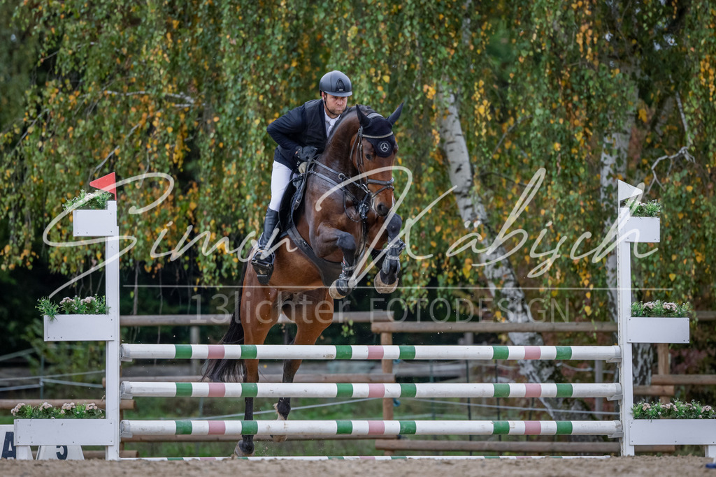 20251012-_3LI3707 | Tierfotografie Pferde, Hunde, Katzen, Haustiere.
Turnierfotografie Reitturniere, Reiten, Springreiten, Dressur in Hanau, dem Main-Kinzig-Kreis und dem Rhein-Main- Gebiet um Frankfurt