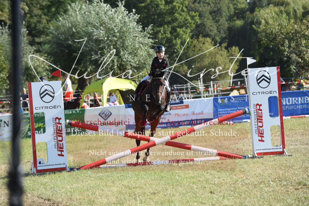 DSC_5846 | Pferde- und Turnierfotografie in Westsachsen. Pferdeportraits, Auftragszeichnungen und intuitive Kunst.