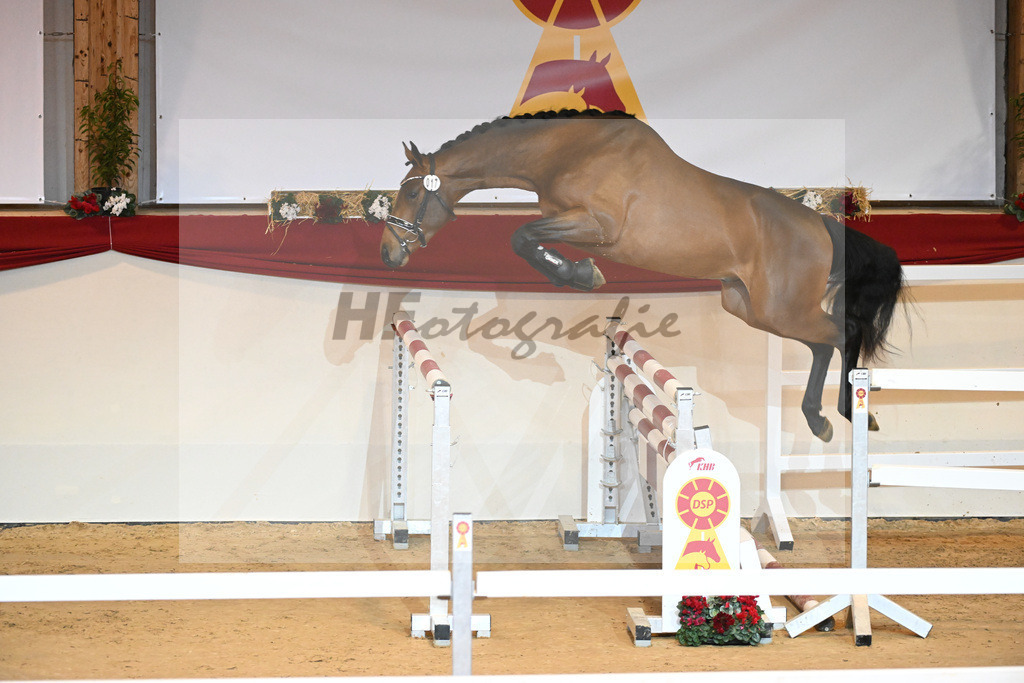 Kat-Nr. 17 Cullinan du Borget_Keitel u Tischer_1230866 | hf-fotografie - Realizzato con Pictrs.com
