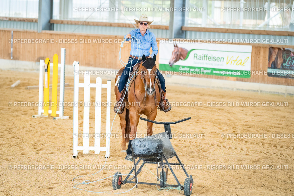 DSC07460 | Pferdegrafie