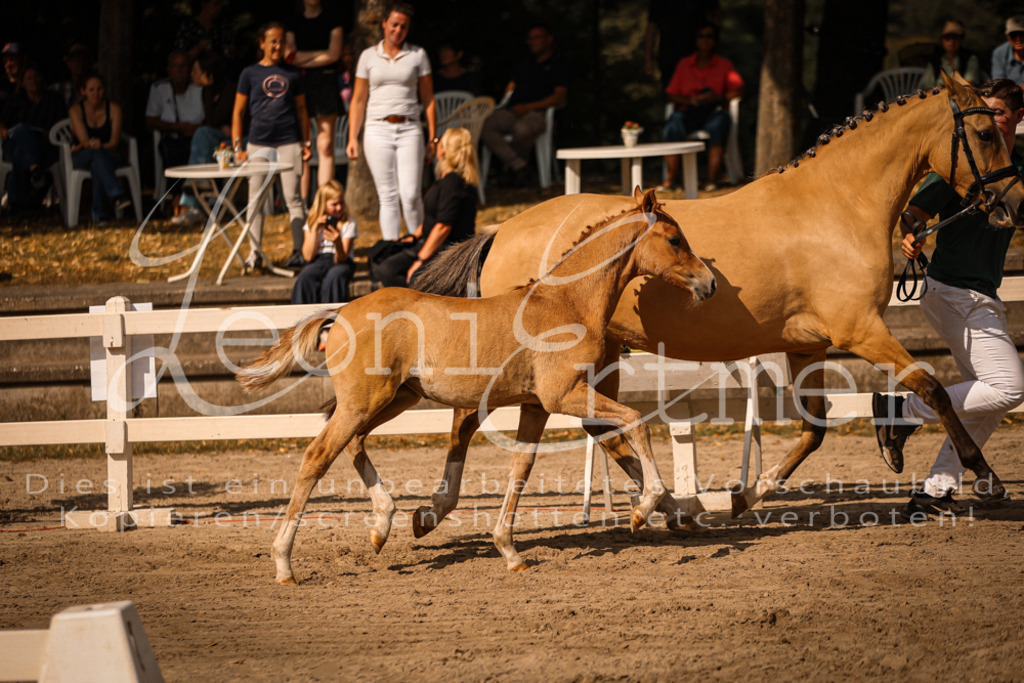 10.DoRP00113 | Leoni Ertmer Photography - Realisiert mit Pictrs.com