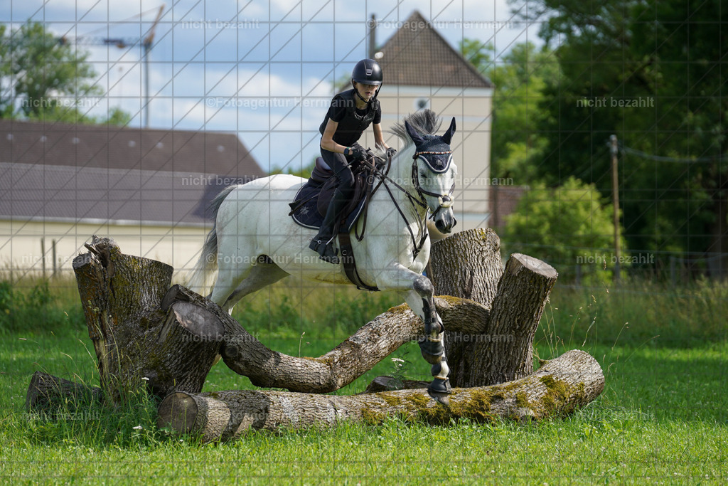 20240622-FAH08077 | Turnierfotografen Bayern, Reitsportbilder aus dem Geländekurs mit Felix Etzel auf dem Gut Waitzacker 2024