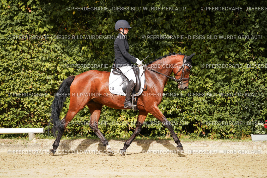 DSC09201 | Pferdegrafie