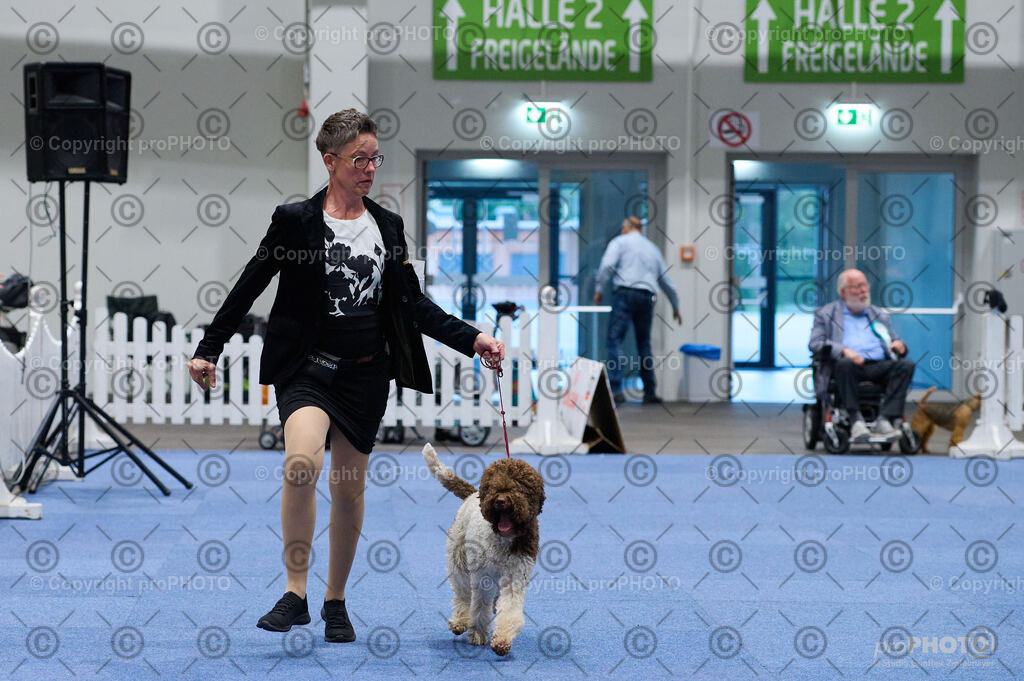 202406_ÖKV-IHA-Tulln24_DSC_3304 | proPHOTO - Realisiert mit Pictrs.com