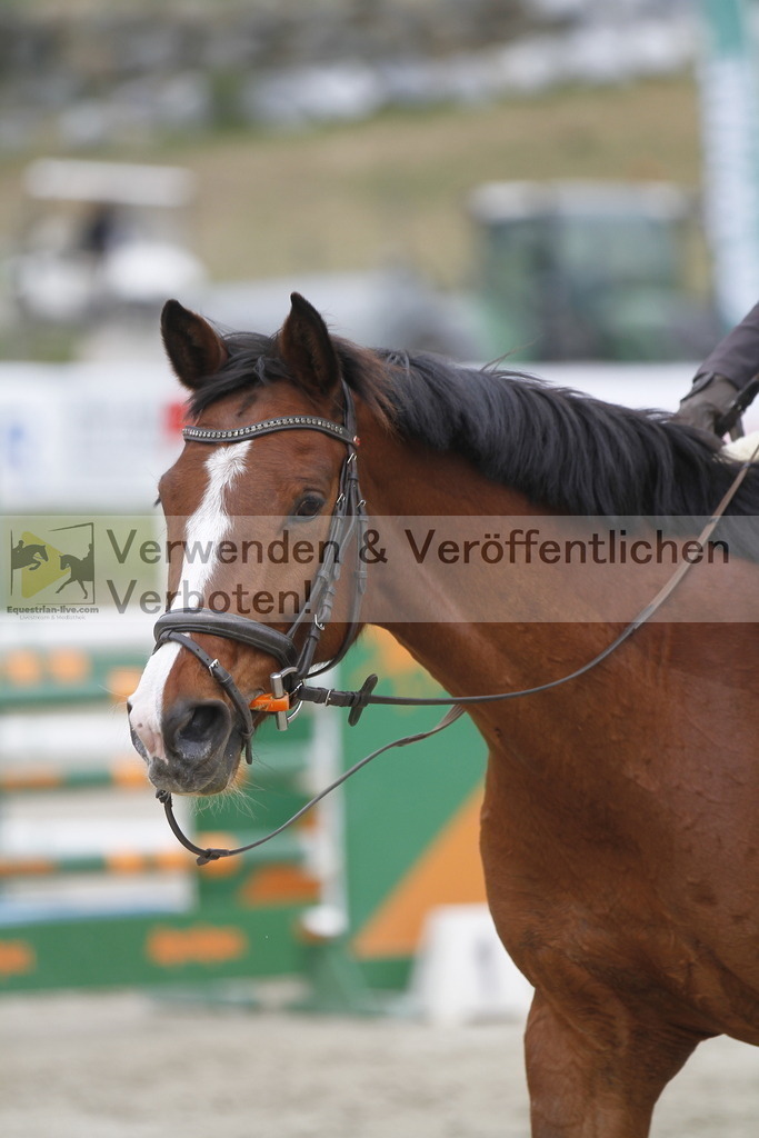 _MG_2874 | equestrian-live-com